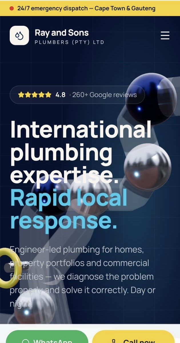 Ray and Sons Plumbers overview